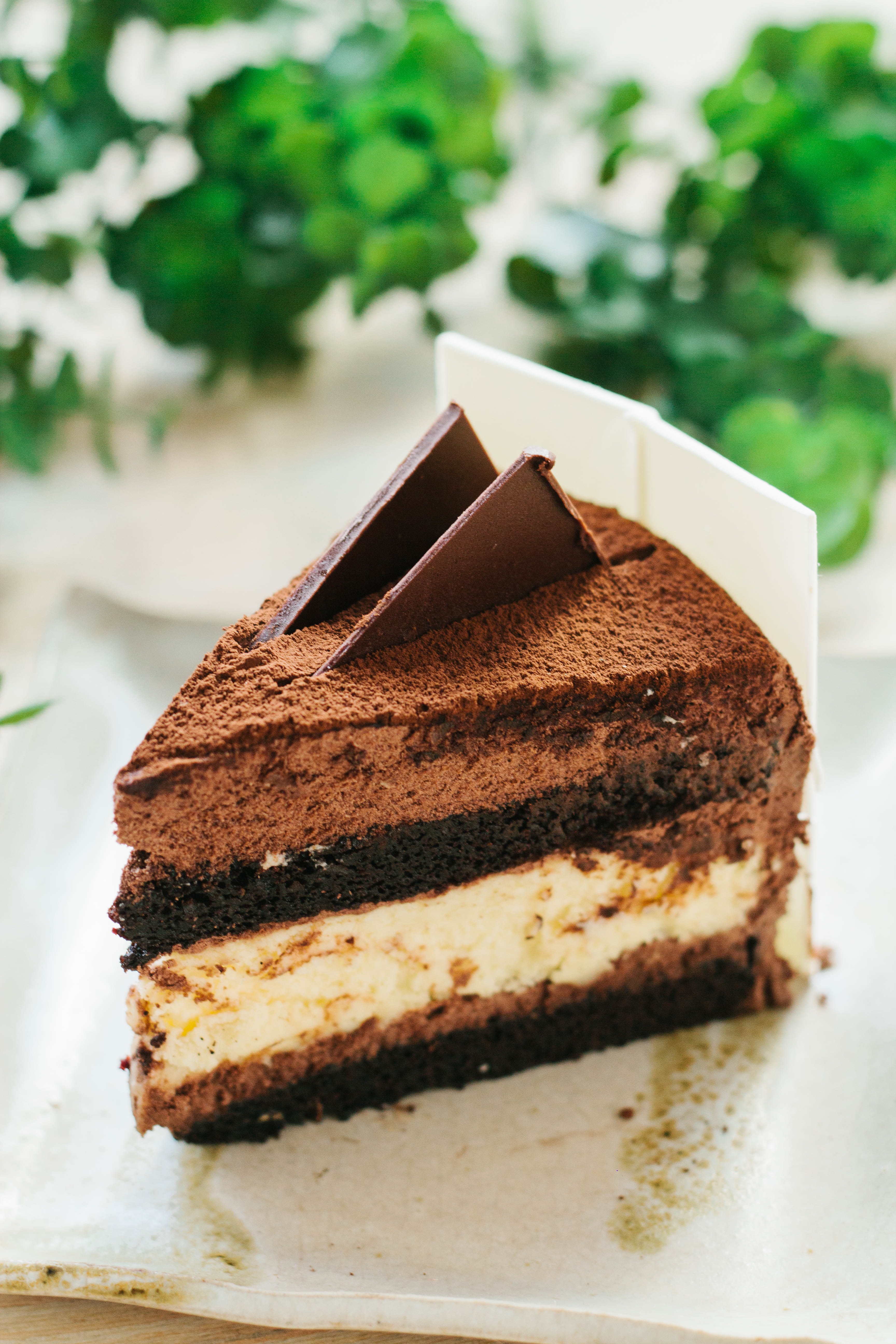 cake image
